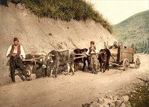 Peasants and Wagon, Bosnia, Austro-Hungary, Photochrome Print, Detroit Publishing Company, 1900