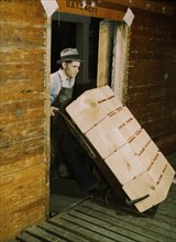 Worker Loading Oranges into Refrigerator Car at Co-op Orange Packing Plant, Redlands, California, USA, Jack Delano for Farm Security Administration, 1943