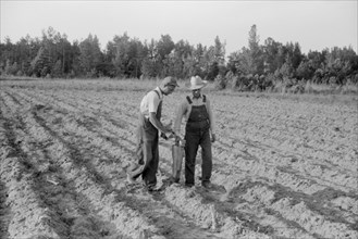 Two Farmers Using Mechanical Tobacco Planter in Field near Chapel Hill, North Carolina, USA, Jack Delano for Farm Security Administration, May 1940