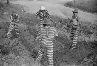 Convicts Working on Road, Ogelthorpe County, Georgia, USA, Jack Delano for Farm Security Administration, May 1941
