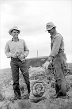 Farmer and Son with Sack of Potatoes, Rio Grande County, Colorado, USA, Arthur Rothstein for Farm Security Administration, October 1939