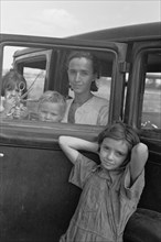 Family of Migratory Fruit Worker from Tennessee now Camped in Field near Packinghouse, Winterhaven, Florida, USA, Arthur Rothstein for Farm Security Administration (FSA), January 1937
