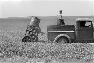 Farmers Spreading Poison Grasshopper Bait, Richland County, Montana, USA, Arthur Rothstein for Farm Security Administration (FSA), June 1939