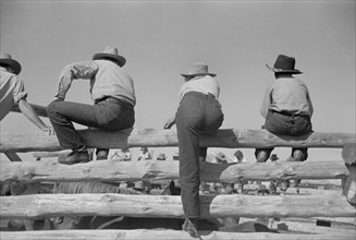 Sitting on Corral Fence, Montana, USA, Arthur Rothstein for Farm Security Administration (FSA), June 1939