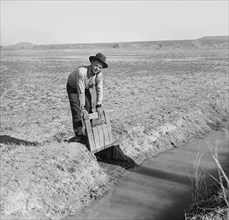 Farmer Opening Gate that Allows Water to Flow into Field from Irrigation Ditch, New Mexico, USA, Arthur Rothstein for Farm Security Administration (FSA), September 1936