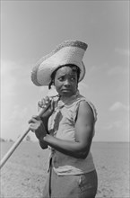 Cotton Hoer, New Madrid County, Missouri, USA, Russell Lee, May 1938