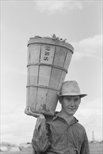 Pea Picker with Hamper of Peas, Nampa, Idaho, USA, Russell Lee, June 1941