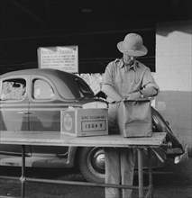 Plant Quarantine Inspector Examining Bags for Insect Pests, Arizona, USA, Dorothea Lange for Farm Security Administration, May 1937
