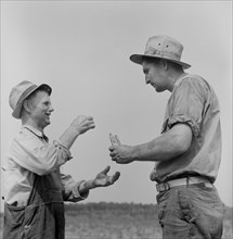 Farmer Receiving Chaw of Tobacco, Jackson County, Michigan, USA, Arthur S. Siegel for Office of War Information, September 1941