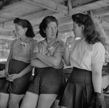 Three Women Workers on Break, U.S. Department of Agriculture Timber Salvage Sawmill, Turkey Pond, New Hampshire, USA, John Collier for Office of War Information, June 1943