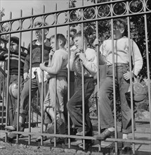 Young Fans Watching High School Football Game Through Fence, Washington DC, USA, Esther Bubley for Office of War Information, October 1943