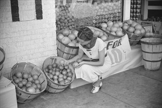 Woman Shopping at Grocery Store, Lakeland, Florida, USA, Marion Post Wolcott for Farm Security Administration, March 1939