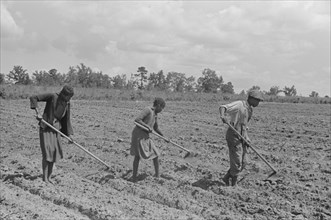 Three Children Hoeing Field, Flint River Farms, Georgia, USA, Marion Post Wolcott for Farm Security Administration, March 1939