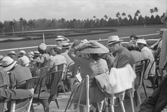 Spectators at Horse Race, Hialeah Park, Miami, Florida, USA, Marion Post Wolcott for Farm Security Administration, March 1939