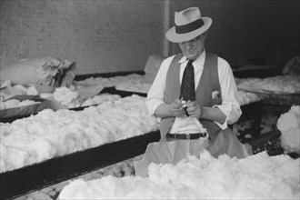 Man, Sampling Cotton in Classing Room of Cotton Factor's Office, Memphis, Tennessee, USA, Marion Post Wolcott for Farm Security Administration, November 1939