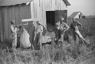Man Weighing Cotton, Farm Security Administration (FSA) Project, Sunflower Plantation, Merigold, Mississippi, USA, Marion Post Wolcott for Farm Security Administration, October 1939