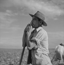 Farmer Taking a Cigarette Break from Hoeing Cotton, Allen Plantation Cooperative Association, near Natchitoches, Louisiana, USA, Marion Post Wolcott for Farm Security Administration, June 1940