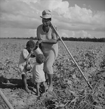 Woman giving her two Children Water while Hoeing Cotton, Allen Plantation Cooperative, near Natchitoches, Louisiana, USA, Marion Post Wolcott for Farm Security Administration, July 1940