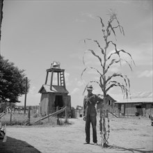 Man Standing with Very Large Corn Stalk, Clarksdale, Mississippi, USA, Marion Post Wolcott for Farm Security Administration, August 1940