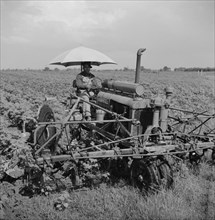 Day Laborer Riding Tractor on Plantation, Clarksdale, Mississippi, USA, Marion Post Wolcott for Farm Security Administration, August 1940