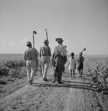 Day Laborers, including Children, Walking with Hoes to Cotton Field on Plantation, Rear View, Clarksdale, Mississippi, USA, Marion Post Wolcott for Farm Security Administration, August 1940