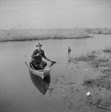 Muskrat Trapper Paddling Canoe, near Delacroix Island, Louisiana, USA, Marion Post Wolcott for Farm Security Administration, January 1941