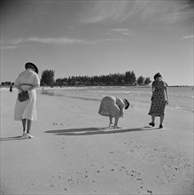 Women in Dresses Collecting Seashells on Beach, Rear View, Sarasota, Florida, USA, Marion Post Wolcott for Farm Security Administration, January 1941