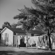 Woman Hanging Clothes on Clothesline, Sarasota Trailer Park, Sarasota, Florida, USA, Marion Post Wolcott for Farm Security Administration, January 1941