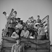 Group of Day Laborers on Truck being brought to Farm to Pick String Bean, Bridgeton, New Jersey, USA, Marion Post Wolcott for Farm Security Administration, July 1941