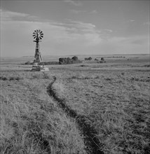 Cattle Paths to Water Hole by Windmill on Grazing Land, near Scottsbluff, Nebraska, USA, Marion Post Wolcott for Farm Security Administration, September 1941