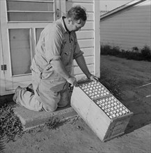 Farmer with Eggs Produced by Poultry Enterprise of Two Rivers Non-Stock Cooperative Association, a Farm Security Administration (FSA) Project, Waterloo, Nebraska, USA, Marion Post Wolcott for Farm Sec...