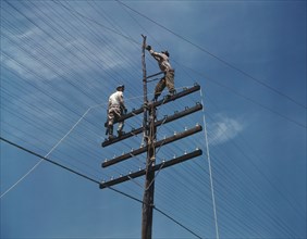 Two Men Working on Telephone Lines, Tennessee, USA, Alfred T. Palmer for Office of War Information, June 1942