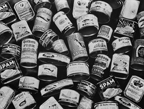Canned Meat and Fish that were Rationed during WWII, USA, Alfred T. Palmer for Office of War Information, March 1943