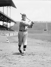 Harry Heilman, Major League Baseball Player, Detroit Tigers, Portrait, National Photo Company, 1924