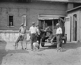 Group of Dog Catchers, Washington DC, USA, National Photo Company, July 1924