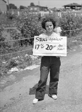Girl in Picket Line during Strike at King Farm, Morrisville, Pennsylvania, USA, John Vachon for Farm Security Administration, August 1938