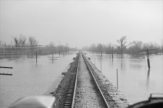View of Railroad Tracks during Flood, Tennessee, USA, Edwin Locke for Farm Security Administration, February 1937