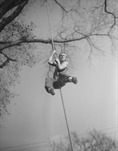 High School Victory Corps, Program Providing Training to Students Focusing on Skills Relevant to War Effort, Student Climbing Rope on Obstacle Course, Flushing, New York, USA, William Perlitch, Office...