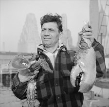 Dock Stevedore Holding up Giant Lobster Claw, Fulton Fish Market, New York City, New York, USA, Gordon Parks for Office of War Information, May 1943