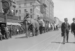 Circus Parade, New York City, New York, USA, Bain News Service, April 1920