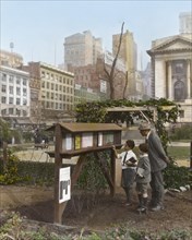 Visitors Reading Notices in Garden Sponsored by National War Garden Commission during World War I, Bryant Park, New York City, New York, USA, by Frances Benjamin Johnson, August 1918
