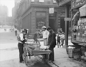 Clam Seller, Mulberry Bend, Little Italy, New York City, New York, USA, Detroit Publishing Company, 1900
