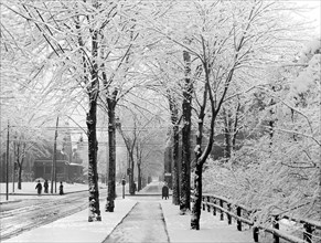 Winter Street Scene, Detroit, Michigan, USA, Detroit Publishing Company, 1907