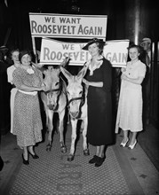 Group of Women Holding Signs "We Want Roosevelt Again" while Walking with Donkeys, Harris & Ewing, 1936