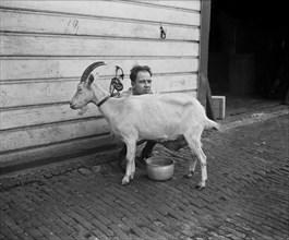 Man Milking Goat, Harris & Ewing, 1922
