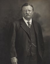 Theodore Roosevelt, Three-Quarter Length Portrait, 1913