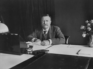 Theodore Roosevelt, Portrait Seated at Desk, Washington DC, USA, by Barnett McFee Clinedinst, 1907