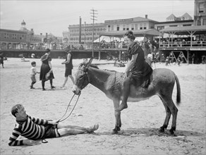 Woman Sitting on Donkey While Man Lays on Sand Holding Reins, Atlantic City, New Jersey, USA, Detroit Publishing Company, 1901