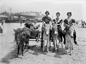 Pony Cart and Donkeys on Beach, Atlantic City, New Jersey, USA, Detroit Publishing Company, 1901