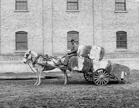 Man and Cotton Cart, Mobile, Alabama, USA, Edward H. Hart for Detroit Publishing Company, 1906